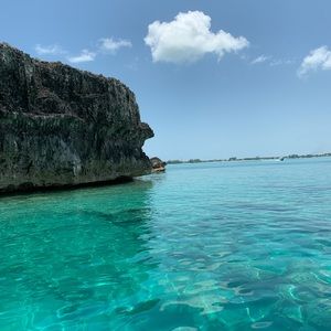 Meet your Posher, Brielle